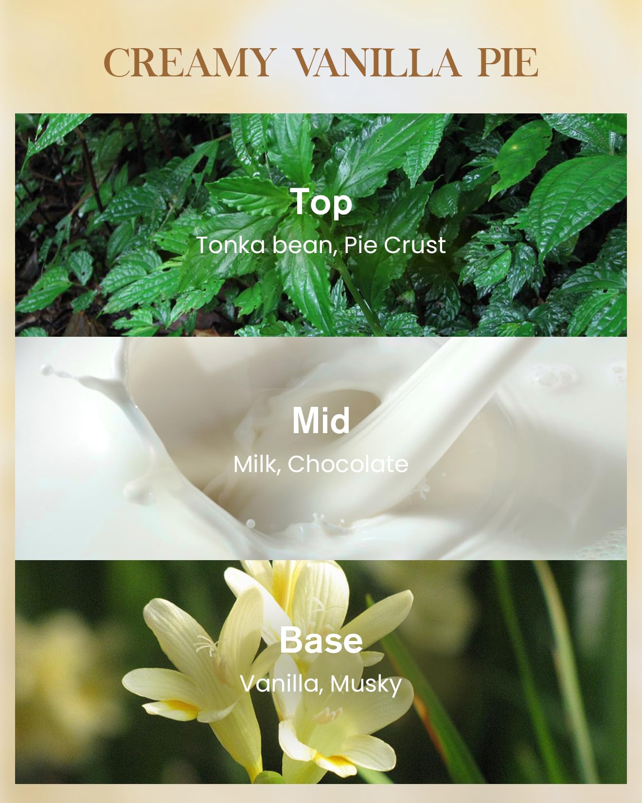 M&SENSE Extra Large Candle Creamy Vanilla Scented, 3-Wick 35oz 150H Long Lasting, Natural Soy Wax Aromatherapy Candle for Stress Relief, Home Fragrance Housewarming Gifts Candle for Home Decor