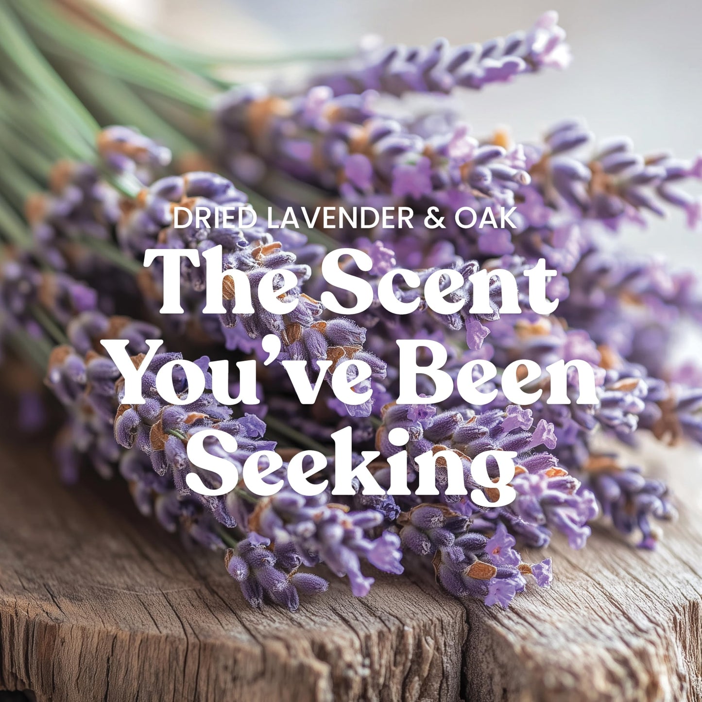 Yankee Candle Large Tumbler Scented Candle with up to 80 Hour Burn Time, Premium Plant Wax Blend for Consistent Burn, 20 oz Tumbler Candle with Room Filling Fragrance, Dried Lavender & Oak