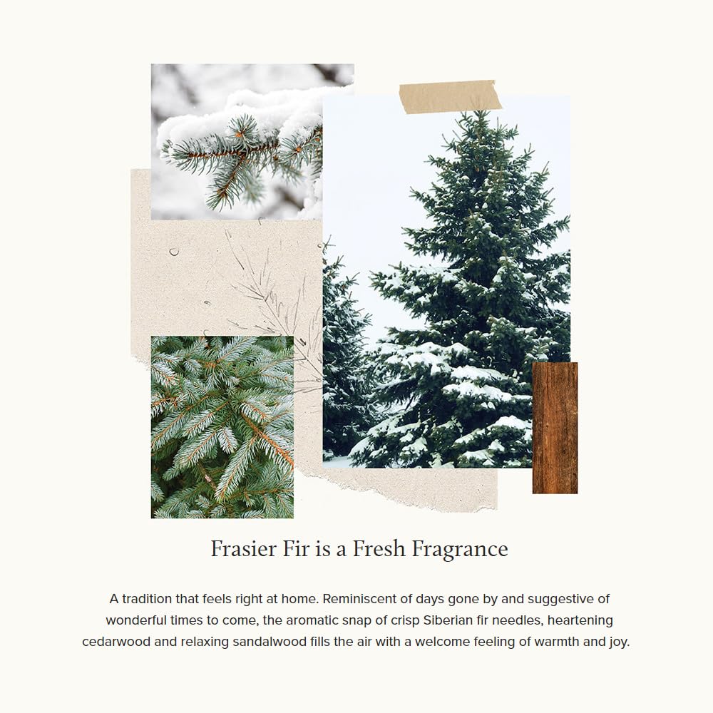 Thymes Frasier Fir Candle – Frosted Plaid Jar Candles – Green & White Candle Jar Design – Scented Candles with Notes of Siberian Fir, Cedarwood & Sandalwood – Holiday Candles (6.5 oz)