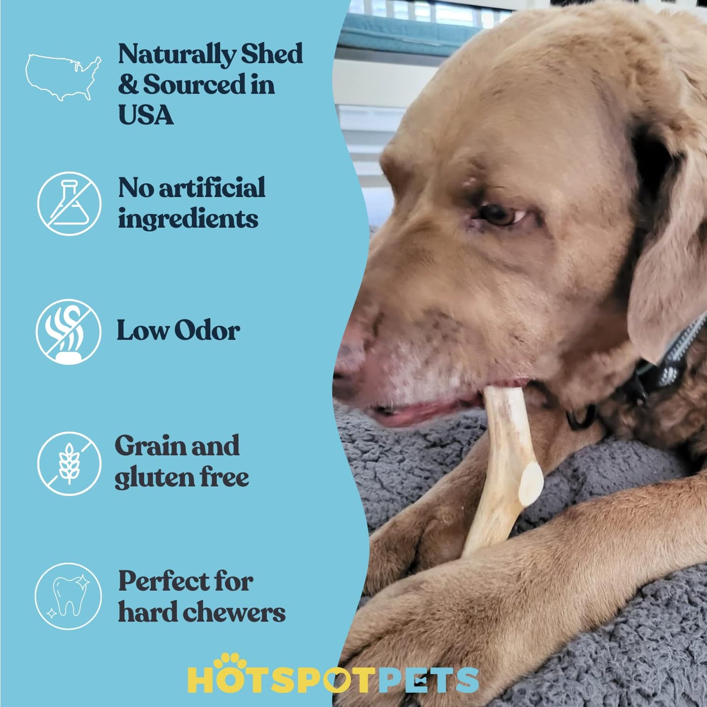 hotspot pets Premium Deer Antlers for Dogs - 7+ Inch Large Antler Dog Chews (2 Pack) Made in USA - Naturally Shed Antler Bone for Large Breed Aggressive Chewers - Promotes Dental Hygiene
