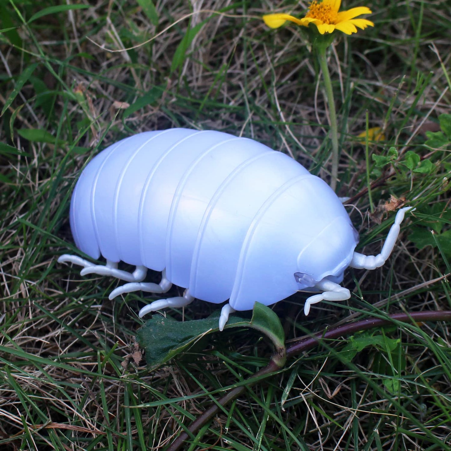Tipmant RC Bug Remote Control Worm Realistic Pillbug Electronic Animal Prank Toy Insect Car Vehicle Kids Birthday Gifts (White)