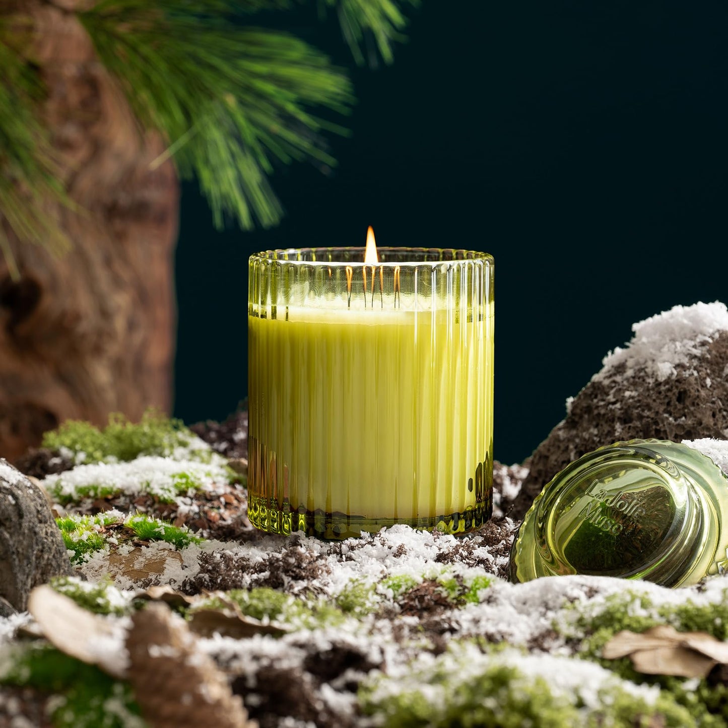 LA JOLIE MUSE Fir & Cedarwood Candle, Scented Candles for Home, Holiday Candle Gifts for Women&Men, Natural Soy Candles, Luxury Jar Candle, Starlit Golden Fir, 11oz