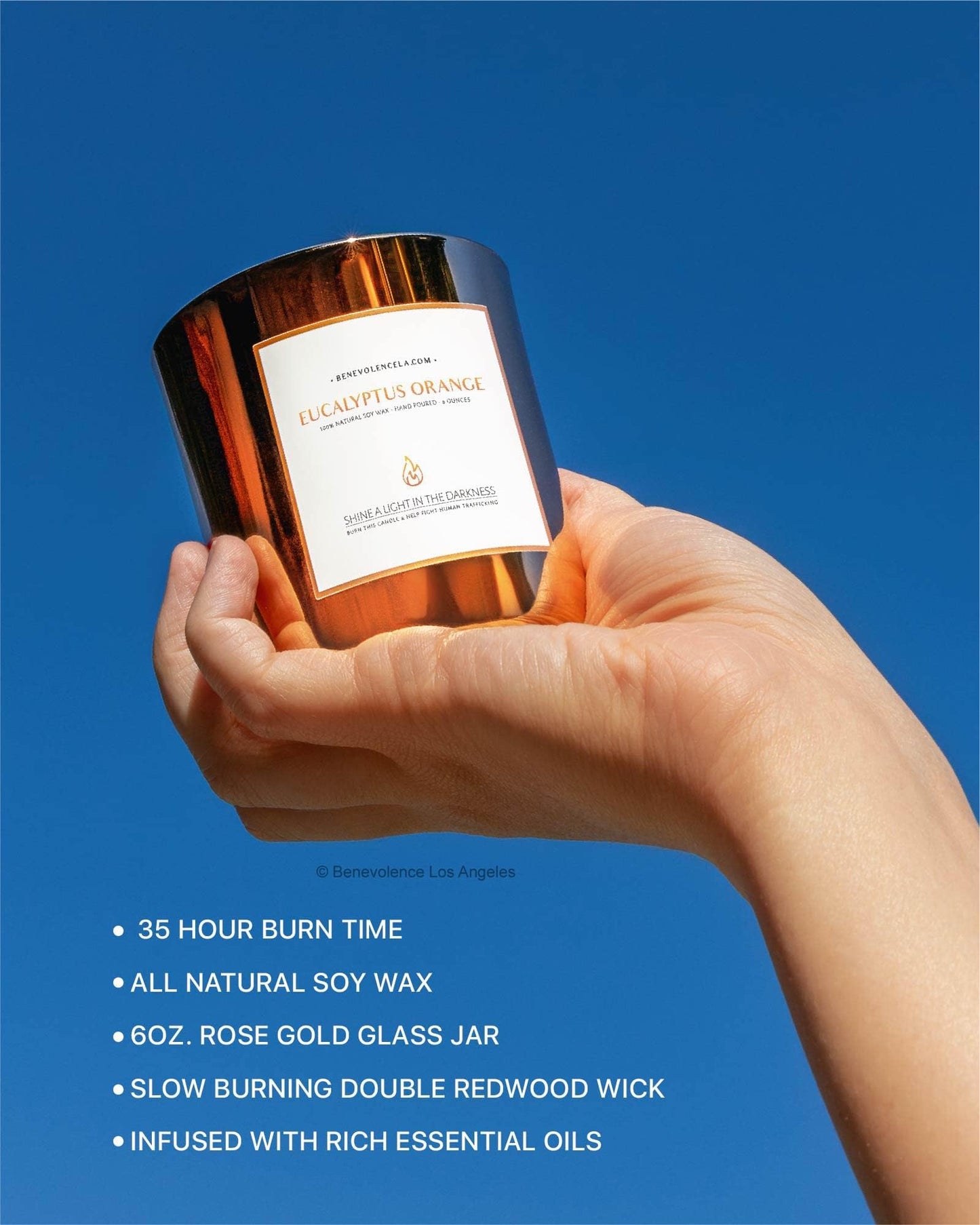 Benevolence LA Eucalyptus Orange Wood Wick Candles | Soy Scented Candles for Home | Gifts for Women and Men | Home Fragrance | Aromatherapy | Shelf Decor, Bathroom Freshener | 8oz, 45 Hour Burn