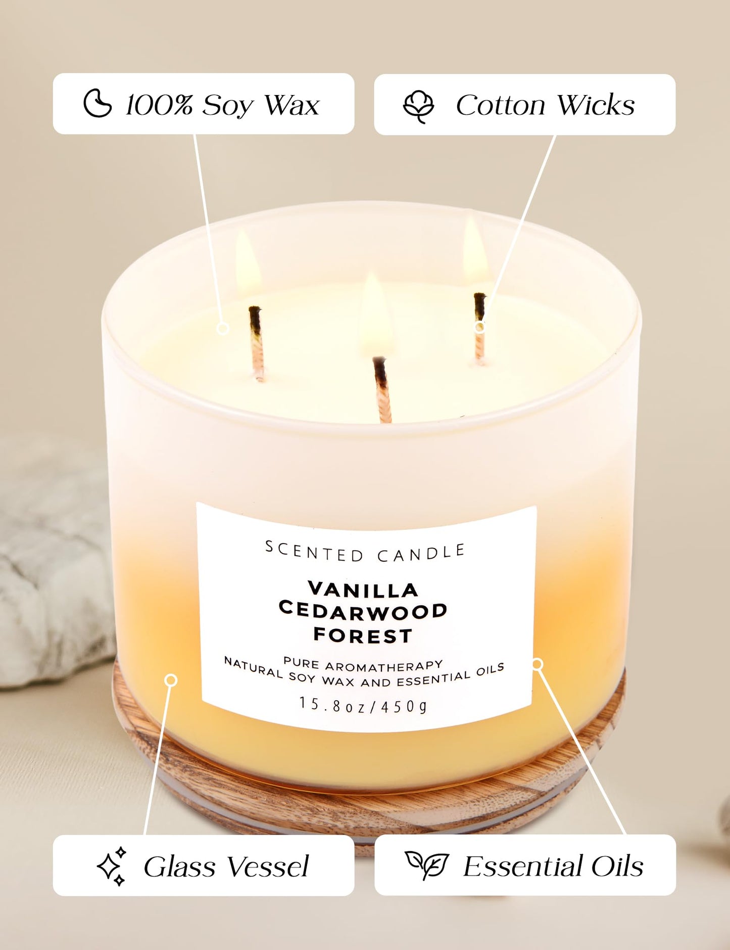 Vanilla Cedarwood Forest 3 Wick Scented Candle | Large Soy Candles for Stress Relief 15.8 oz | Relaxing Aromatherapy Candle for Men & Women | Fresh Cozy Scent Long Lasting Candles for Home Clean Burn