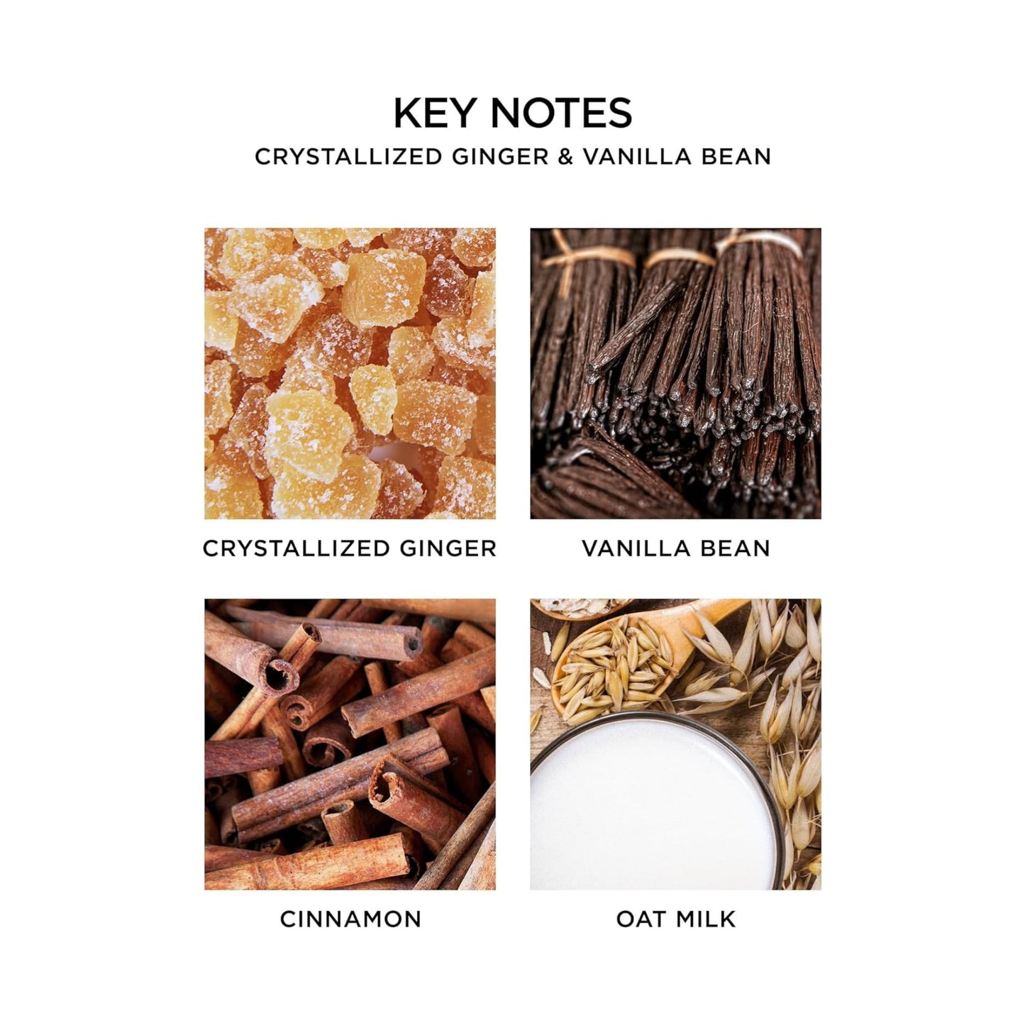 NEST New York Festive Scented Votive Candle Trio - 2 oz Each - Includes Holiday, Birchwood Pine, Crystallized Ginger & Vanilla Bean - Up to 28-Hour Burn Time - Reusable Glass Vessel