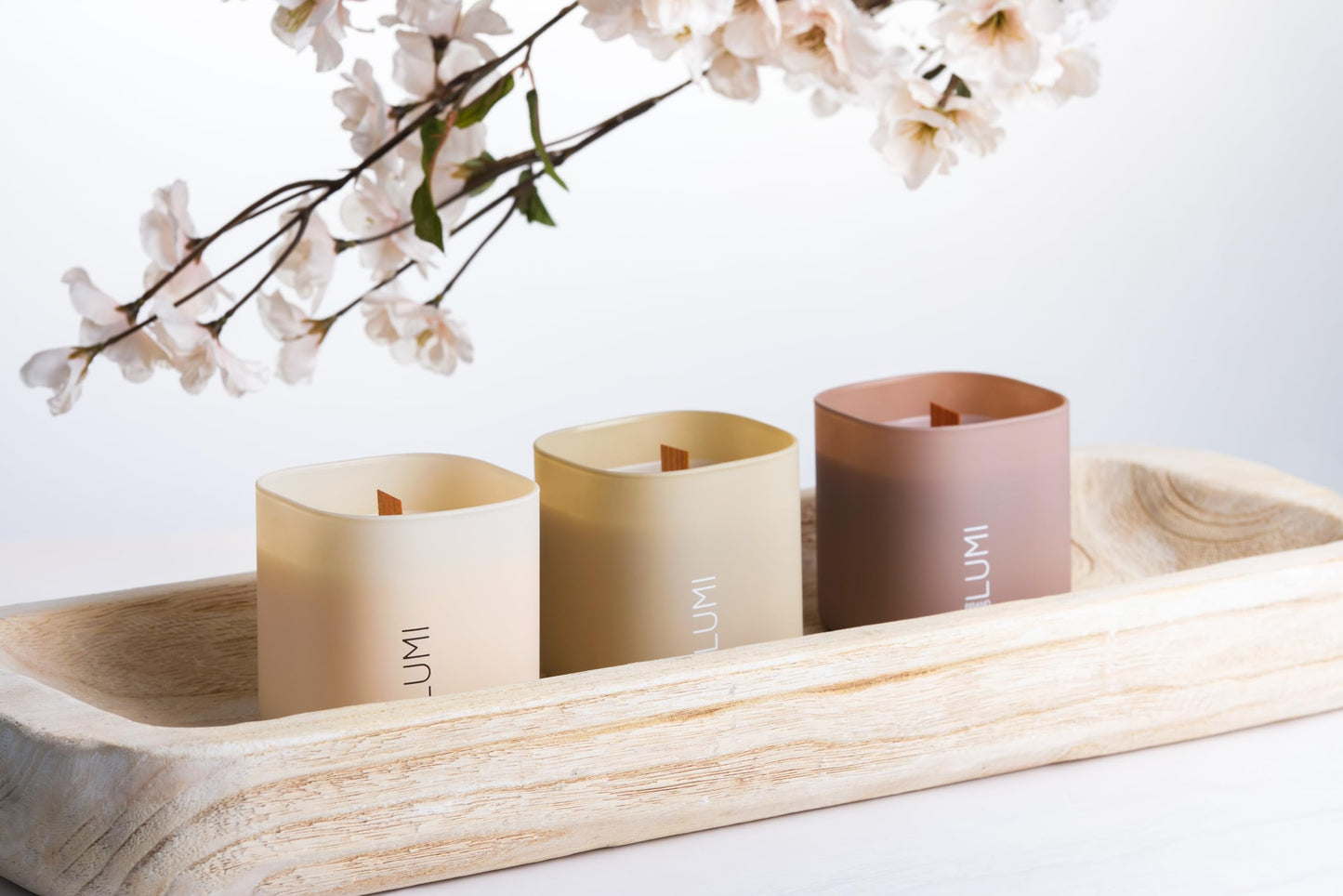 Set of 3 Scented Soy Candles Gift Set | Nature's Bloom Collection | 3 Scented Candles - Gardenia, Hilton Garden, and Rose & Oud | Crackling Wood Wick | Clean Burn | 50+HR Burn Time, 9.8oz Each