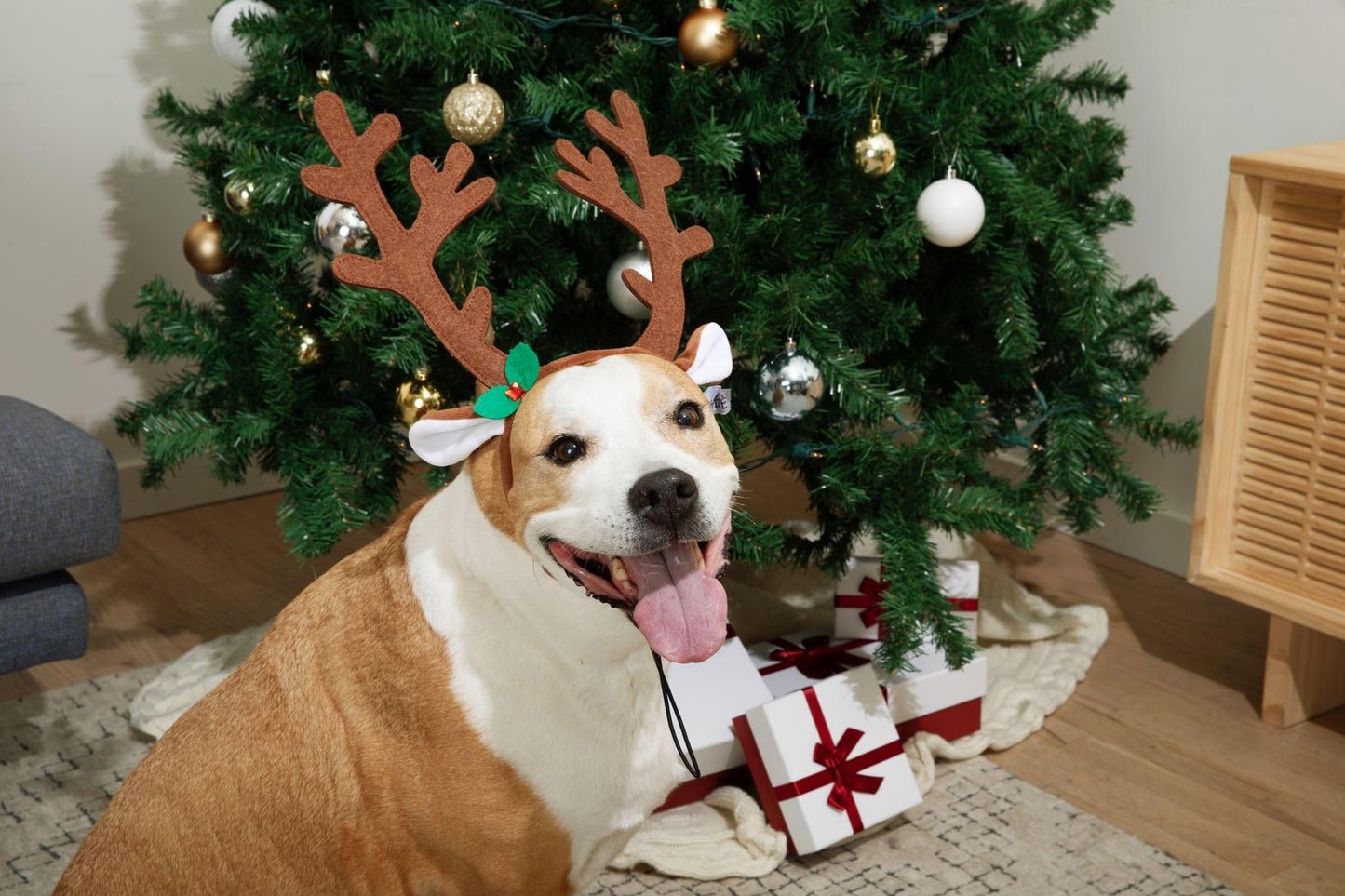 Midlee Brown Reindeer Dog Antlers Headband Pet Christmas Costume - Large