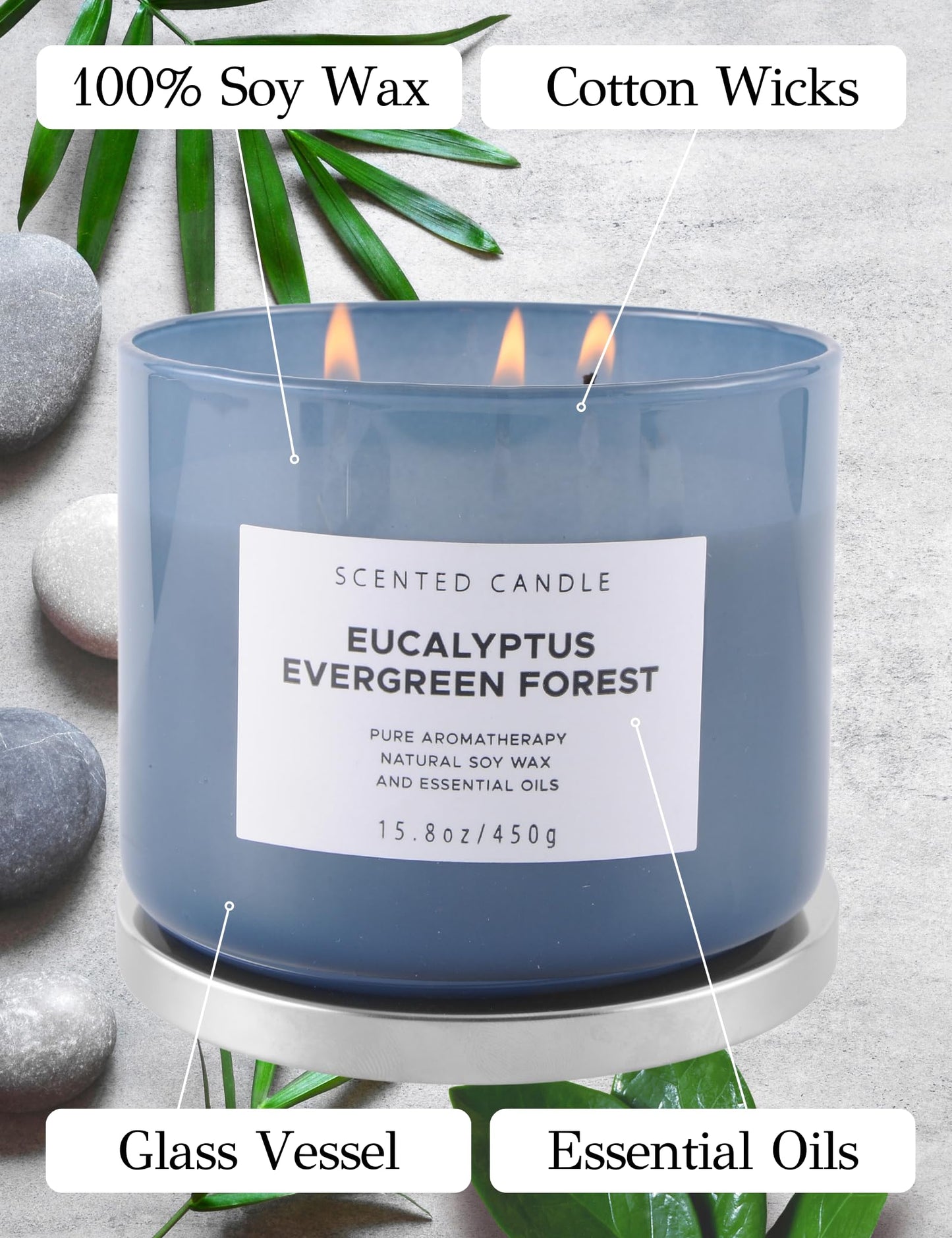 Eucalyptus Evergreen Forest 3 Wick Scented Candle | Luxury Soy Candles for Home | Relaxing Aromatherapy Stress Relief Candle 15.8 oz | Clean Burn Long Lasting Balsam Fir Woods Candles for Men & Women