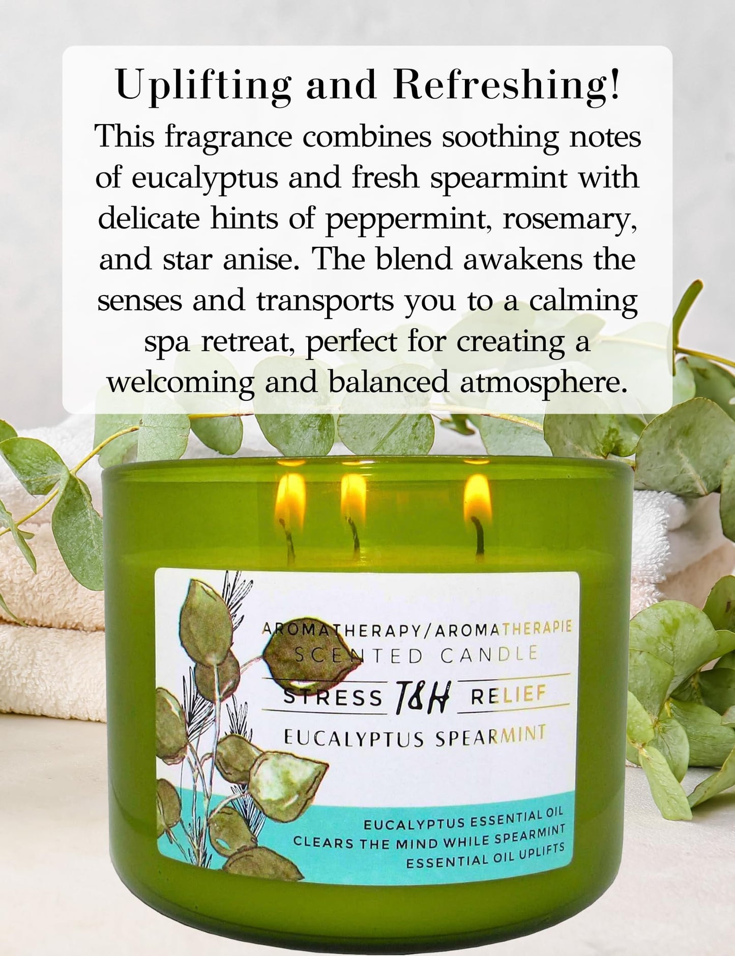 Eucalyptus Spearmint Aromatherapy Candle 3-Wick | Soy Scented Candles for Home | 15.8 oz Large Candle for Men and Women | Long Lasting Eucalyptus Candles | Decorative Candle Gift