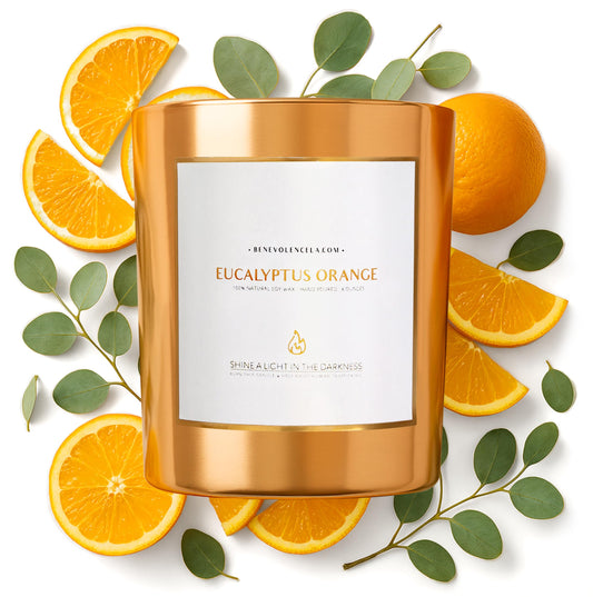 Benevolence LA Eucalyptus Orange Wood Wick Candles | Soy Scented Candles for Home | Gifts for Women and Men | Home Fragrance | Aromatherapy | Shelf Decor, Bathroom Freshener | 8oz, 45 Hour Burn