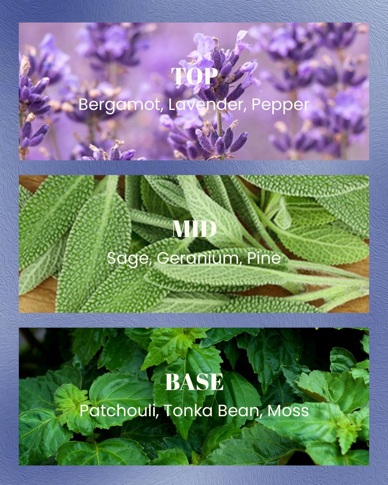 M&SENSE Bergamot Lavender Scented Candles,Vegan Soy Wax,No Toxin,10oz 42-Hour Slow Burning Time, Pepper Scented Candle, High Intensity,Air Purifying Aromatherapy Relaxing Office Home Fragrance