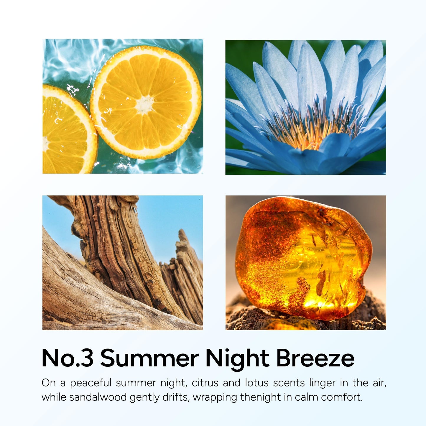 LUMELOOM Summer Night Breeze Scented Candle, 11oz Aromatherapy Soy Wax Candles for Home Scented, Long Lasting, Fathers Day, Fruits, Flower, Wood Scent Gift for Men, Women, Relaxation & Stress Relief